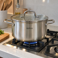 [LEVE 2 PAGUE 1] Panela ChefStar em Aço Inox Antiaderente com Alças e Tampa de Vidro +BRINDE: Kit Utensílios de Cozinha
